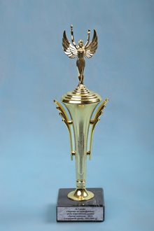 I место по мини-футболу (Зимние каникулы-2013) в возрастной группе 1997-1998 г.р.